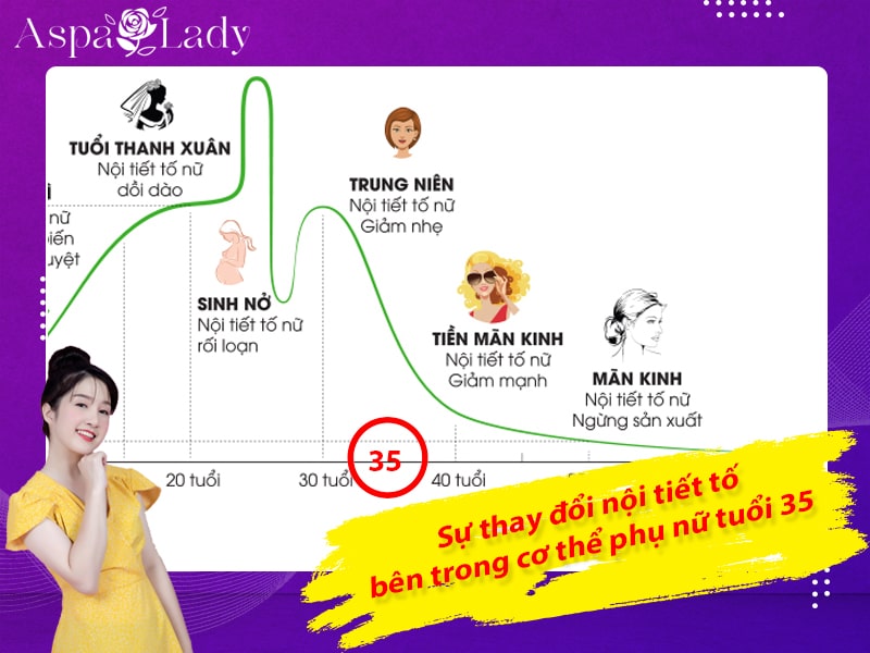 Sự thay đổi nội tiết tố bên trong cơ thể phụ nữ tuổi 35