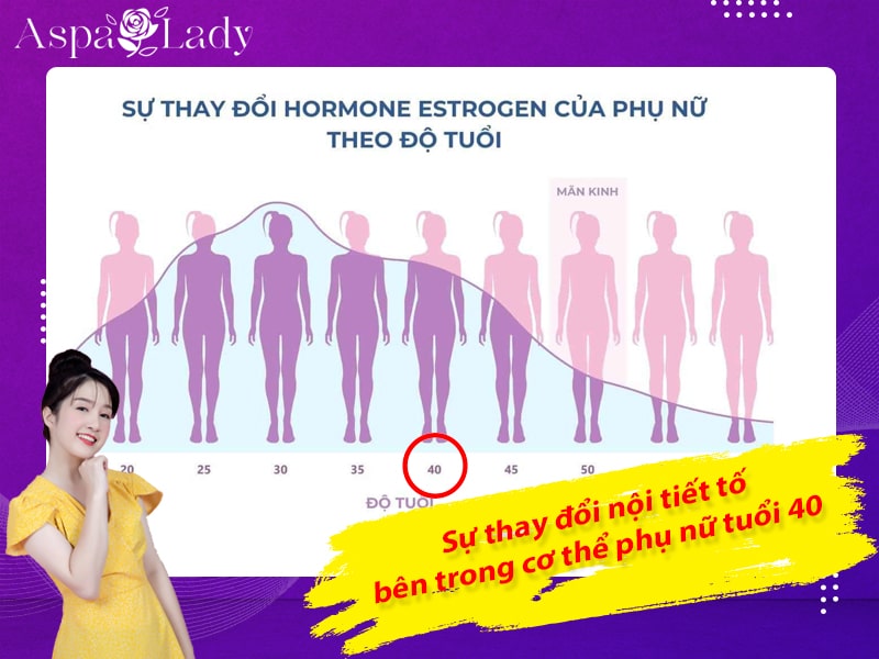 Sự thay đổi nội tiết tố bên trong cơ thể phụ nữ tuổi 40