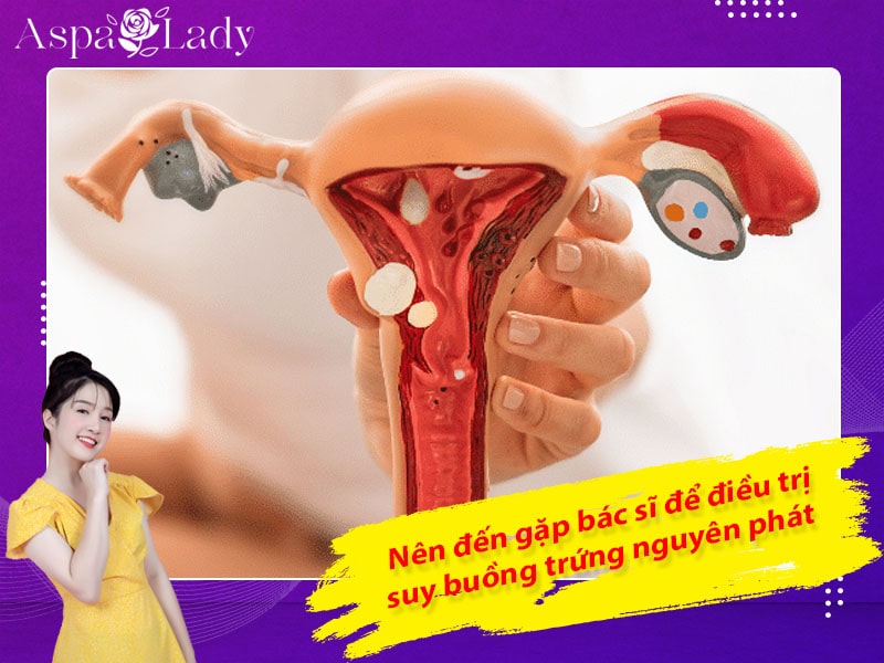 Nên đến gặp bác sĩ để điều trị suy buồng trứng nguyên phát