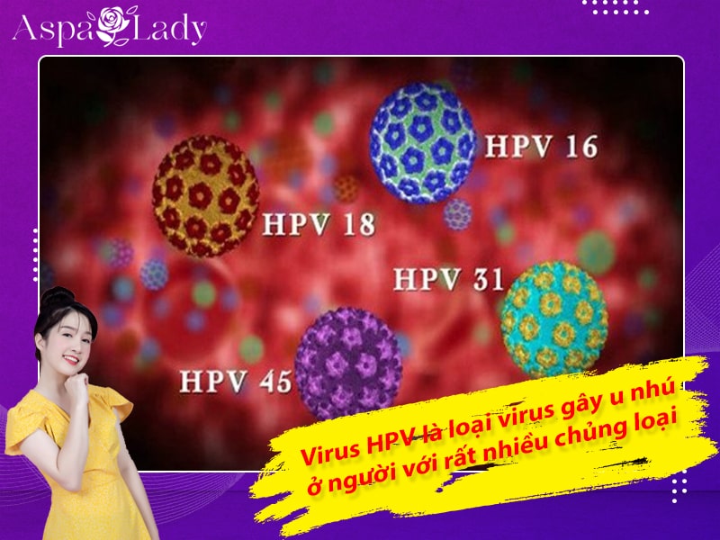Virus HPV là loại virus gây u nhú ở người với rất nhiều chủng loại Virus HPV là loại virus gây u nhú ở người với rất nhiều chủng loại