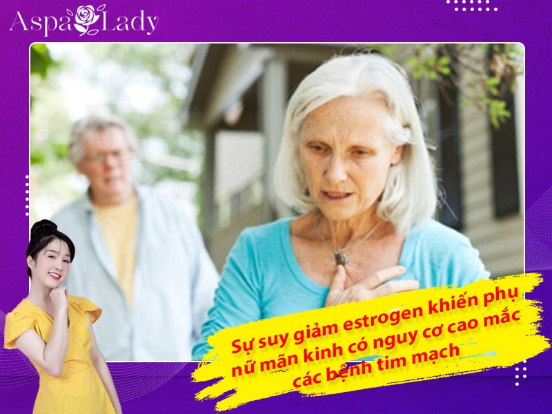 Sự suy giảm estrogen khiến phụ nữ mãn kinh có nguy cơ cao mắc các bệnh tim mạch Sự suy giảm estrogen khiến phụ nữ mãn kinh có nguy cơ cao mắc các bệnh tim mạch