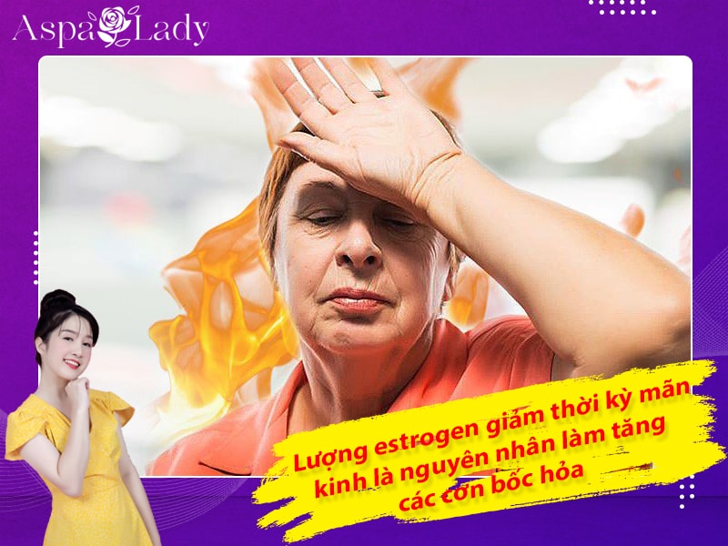 Lượng estrogen giảm thời kỳ mãn kinh là nguyên nhân làm tăng các cơn bốc hỏa Lượng estrogen giảm thời kỳ mãn kinh là nguyên nhân làm tăng các cơn bốc hỏa