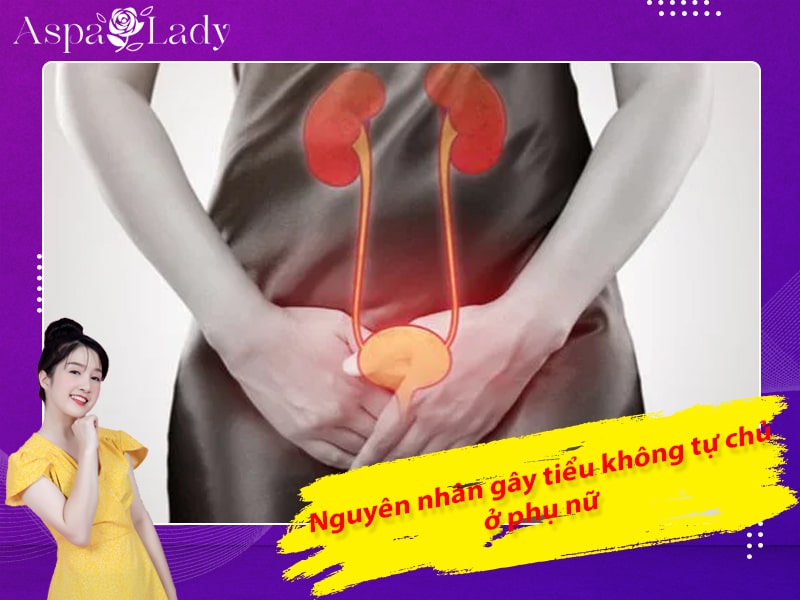 Nguyên nhân gây tiểu không tự chủ ở phụ nữ Nguyên nhân gây tiểu không tự chủ ở phụ nữ