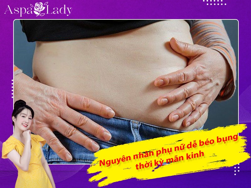 Lý do phụ nữ dễ béo bụng thời kỳ mãn kinh Lý do phụ nữ dễ béo bụng thời kỳ mãn kinh