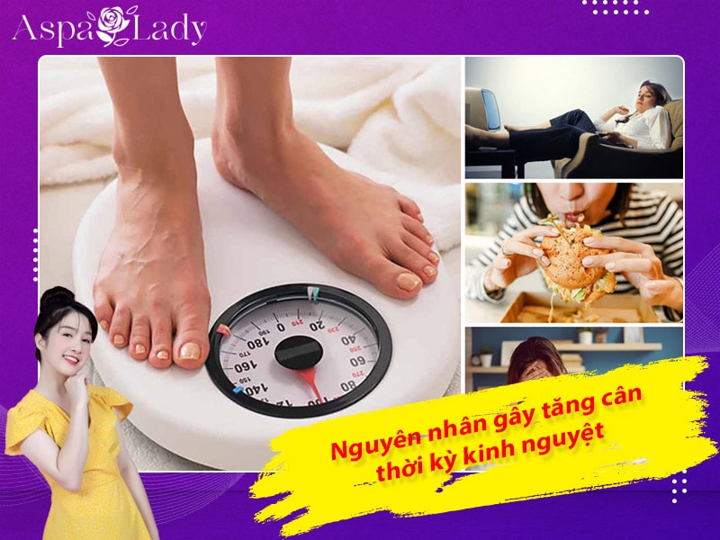 Nguyên nhân gây tăng cân thời kỳ kinh nguyệt Nguyên nhân gây tăng cân thời kỳ kinh nguyệt