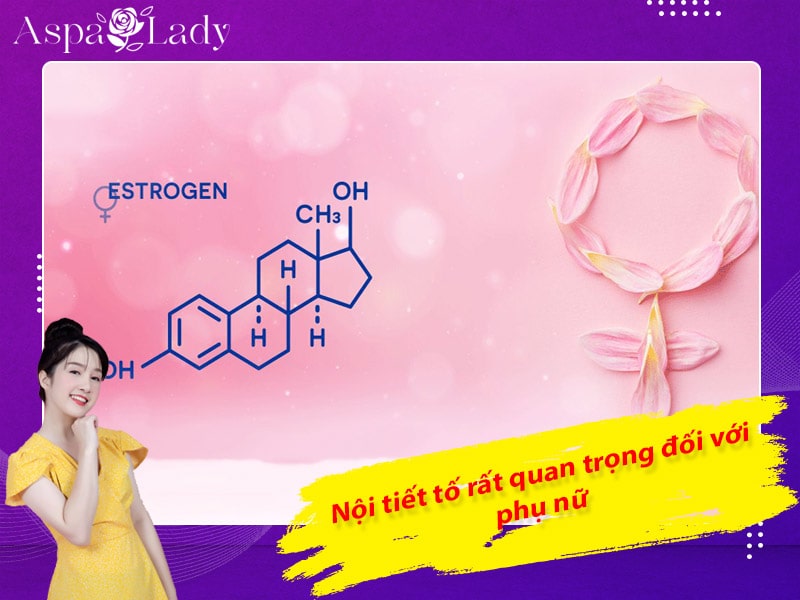 Nội tiết tố rất quan trọng đối với phụ nữ Nội tiết tố rất quan trọng đối với phụ nữ