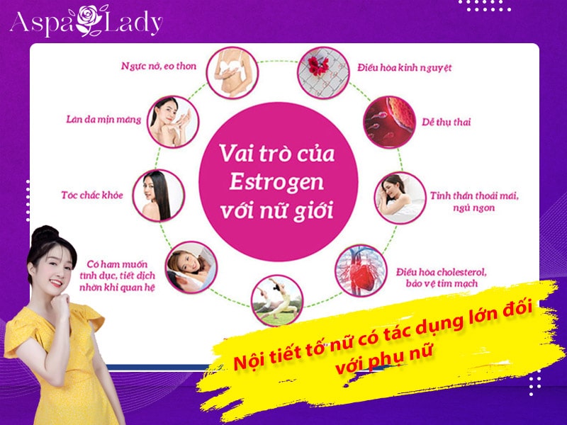 Những tác dụng của nội tiết tố đối với phụ nữ Những tác dụng của nội tiết tố đối với phụ nữ