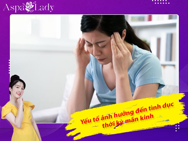 Yếu tố ảnh hưởng đến tình dục thời kỳ mãn kinh Yếu tố ảnh hưởng đến tình dục thời kỳ mãn kinh