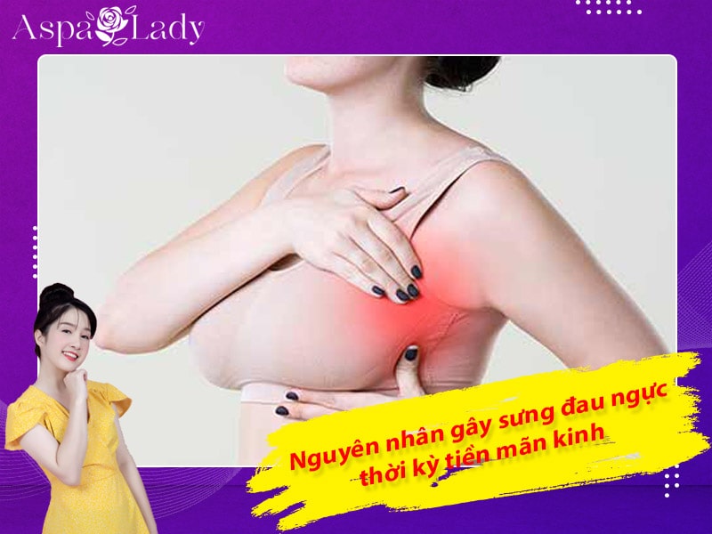 Nguyên nhân gây sưng đau ngực thời kỳ tiền mãn kinh Nguyên nhân gây sưng đau ngực thời kỳ tiền mãn kinh