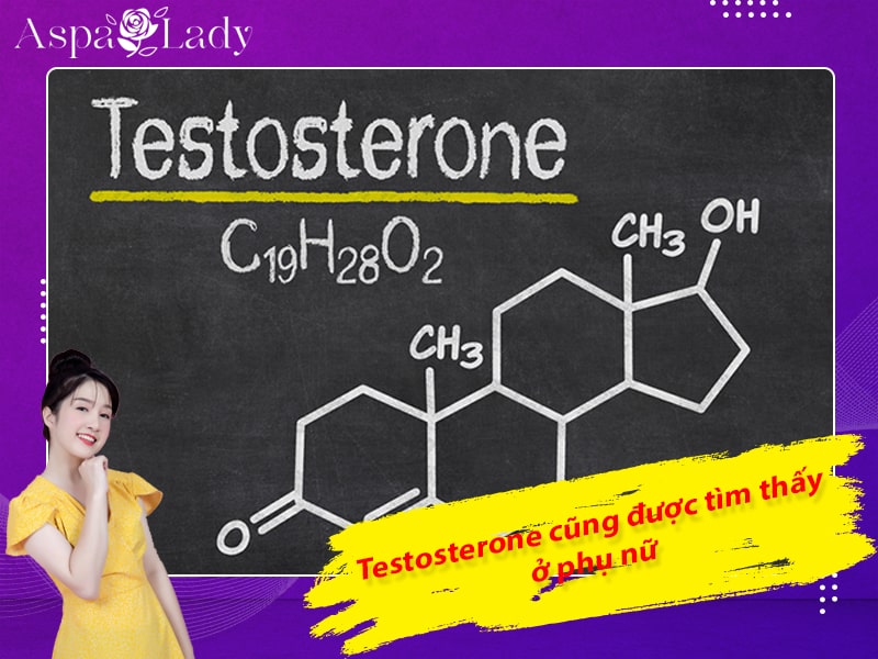 Hormone Testosteron cũng được tìm thấy ở phụ nữ Hormone Testosteron cũng được tìm thấy ở phụ nữ