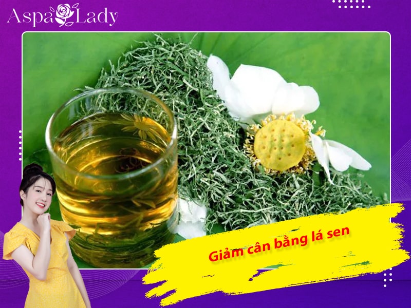 Giảm cân bằng lá sen Giảm cân bằng lá sen