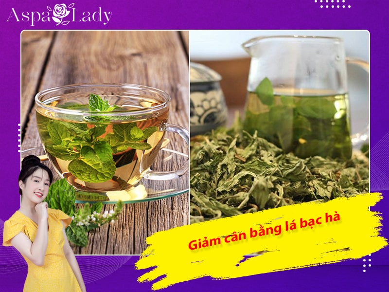 Giảm cân bằng lá bạc hà Giảm cân bằng lá bạc hà