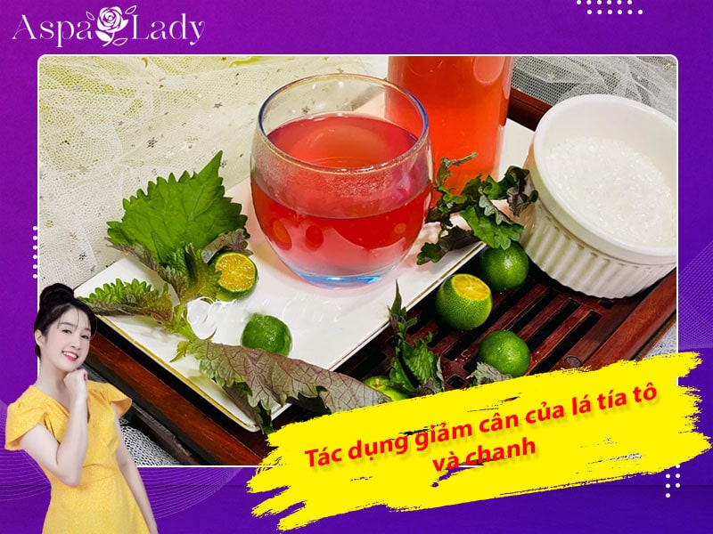Tác dụng giảm cân của lá tía tô và chanh Tác dụng giảm cân của lá tía tô và chanh