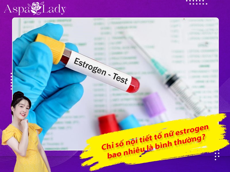 Chỉ số nội tiết tố nữ estrogen bao nhiêu là bình thường