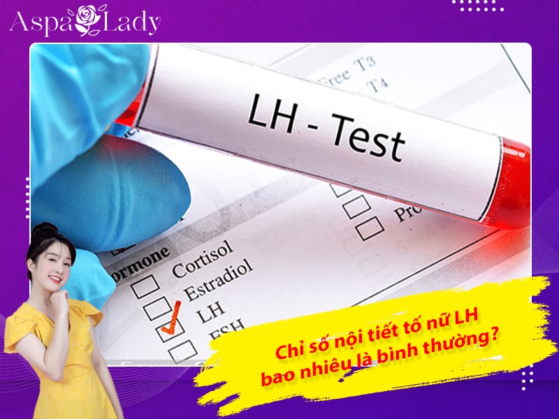 Chỉ số nội tiết tố nữ LH bao nhiêu là bình thường