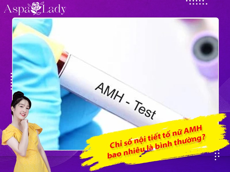 Chỉ số nội tiết tố nữ AMH bao nhiêu là bình thường