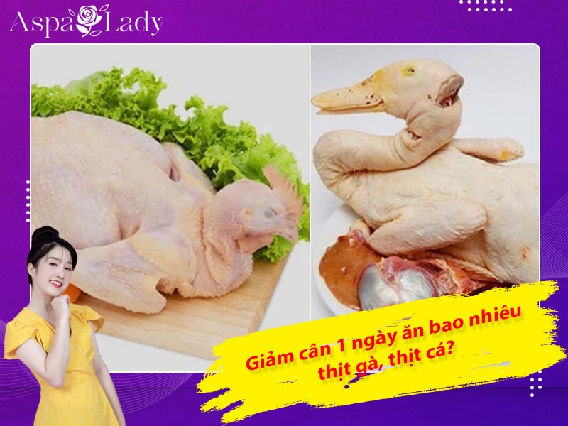 Giảm cân 1 ngày ăn bao nhiêu thịt gà, thịt cá? Giảm cân 1 ngày ăn bao nhiêu thịt gà, thịt cá?