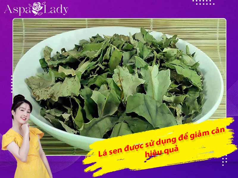 Lá sen được sử dụng để giảm cân hiệu quả
