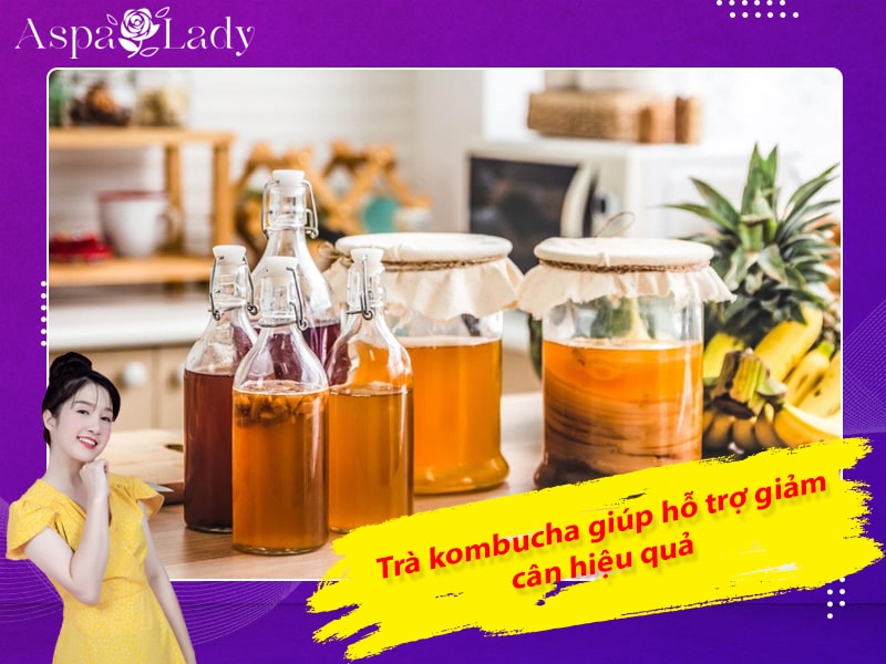 Trà Kombucha giúp hỗ trợ giảm cân hiệu quả Trà Kombucha giúp hỗ trợ giảm cân hiệu quả