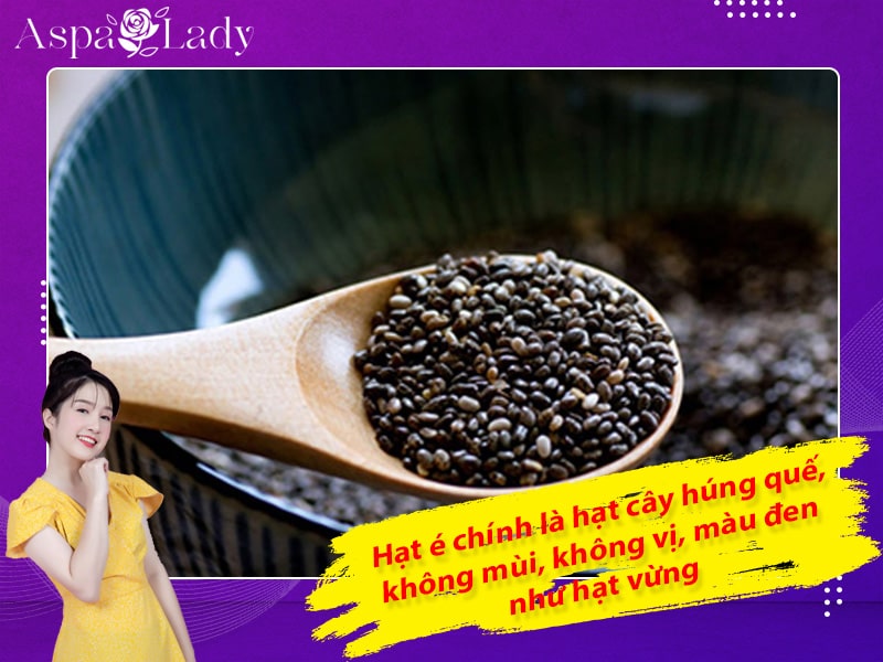 Hạt é chính là hạt cây húng quế, không mùi, không vị, màu đen như hạt vừng Hạt é chính là hạt cây húng quế, không mùi, không vị, màu đen như hạt vừng