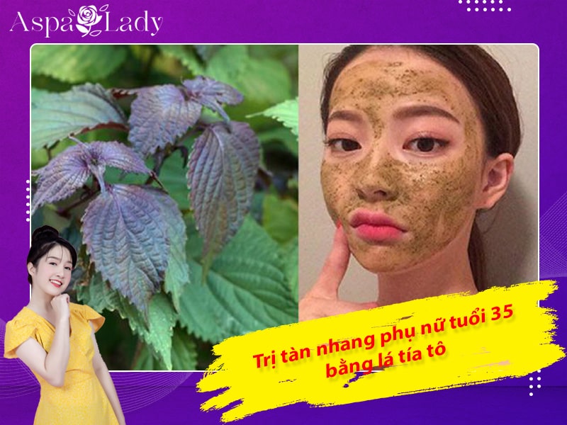 Trị tàn nhang phụ nữ tuổi 35 bằng lá tía tô Trị tàn nhang phụ nữ tuổi 35 bằng lá tía tô