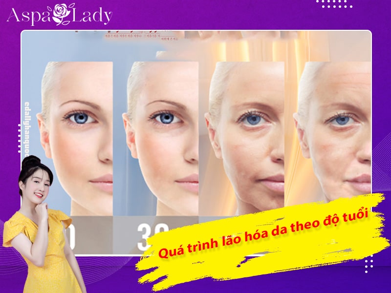 Quá trình lão hóa da theo độ tuổi Quá trình lão hóa da theo độ tuổi