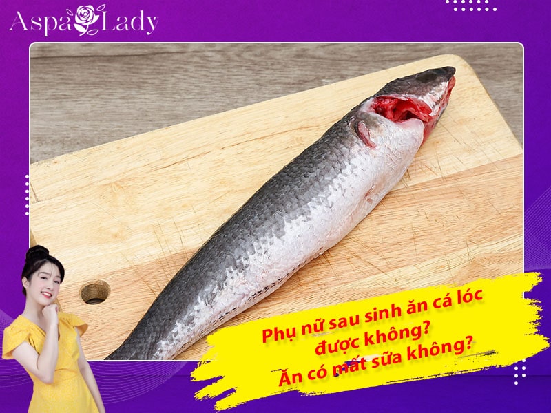 Phụ nữ sau sinh ăn cá lóc được không? Ăn có mất sữa không?
