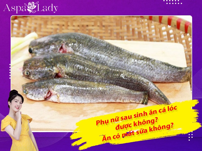 Phụ nữ sau sinh ăn cá lóc được không? Ăn có mất sữa không?