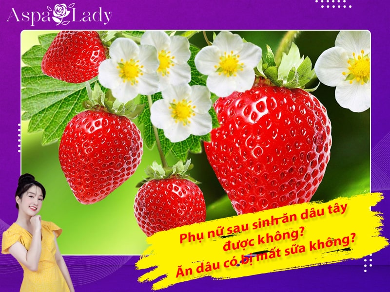 Phụ nữ sau sinh ăn dâu tây được không? Ăn dâu có bị mất sữa không?