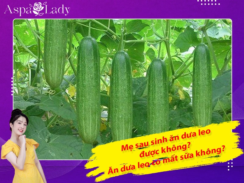 Mẹ sau sinh có ăn được dưa leo không? Ăn có mất sữa không?