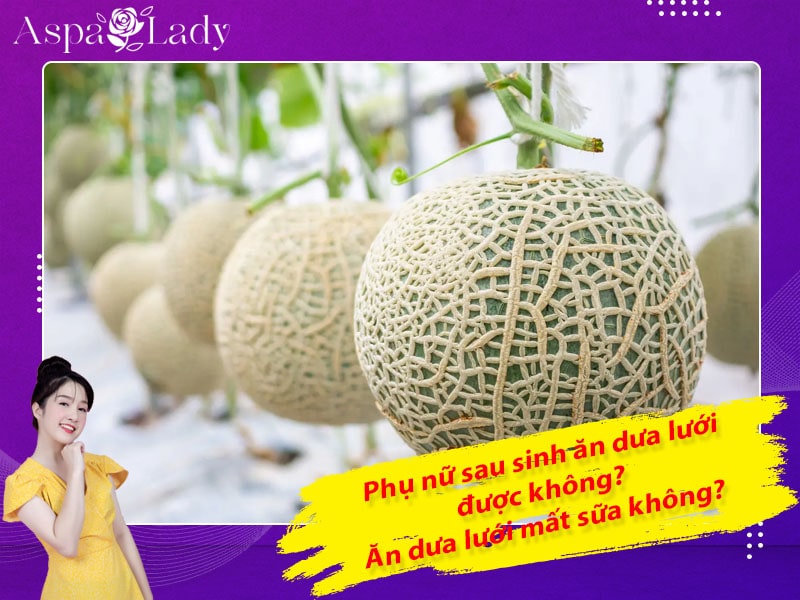 Phụ nữ sau sinh ăn dưa lưới được không? Ăn dưa lưới mất sữa không?