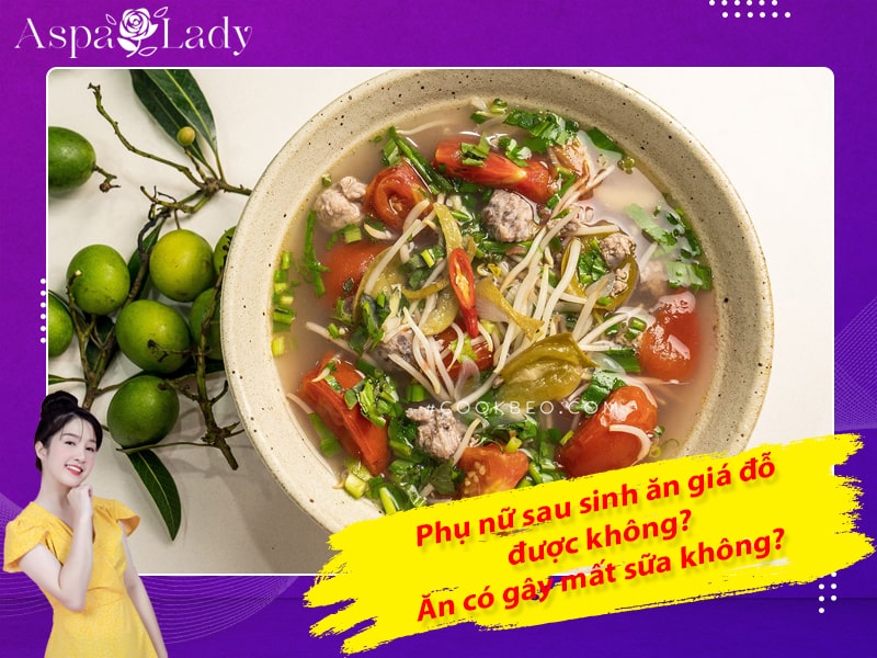 Phụ nữ sau sinh ăn giá đỗ được không? Ăn có gây mất sữa không?