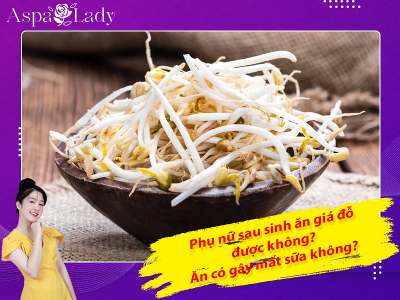 Phụ nữ sau sinh ăn giá đỗ được không? Ăn có gây mất sữa không?