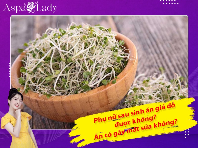 Phụ nữ sau sinh ăn giá đỗ được không? Ăn có gây mất sữa không?