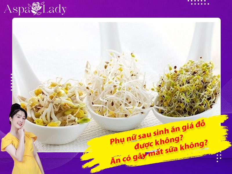 Phụ nữ sau sinh ăn giá đỗ được không? Ăn có gây mất sữa không?