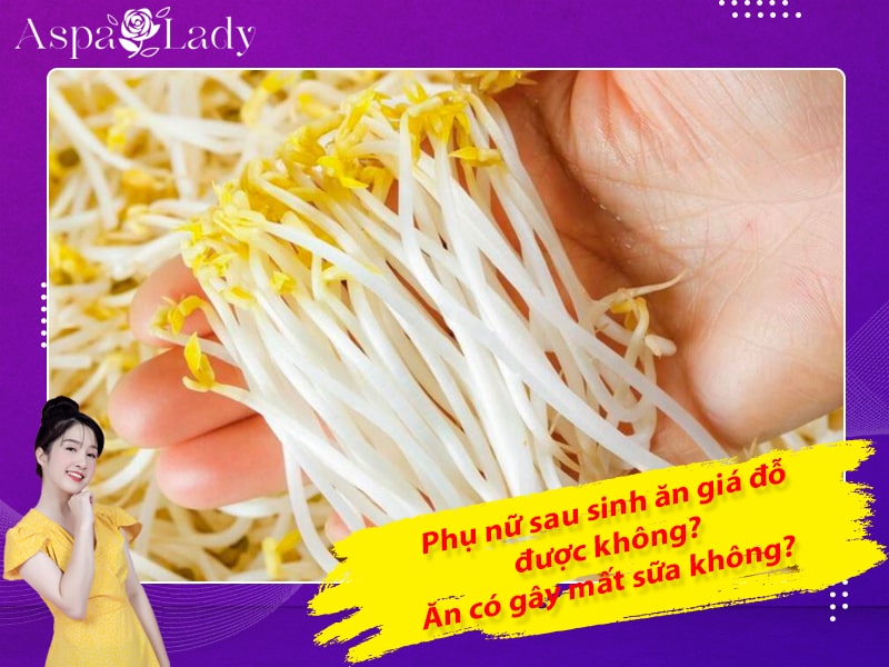 Phụ nữ sau sinh ăn giá đỗ được không? Ăn có gây mất sữa không?