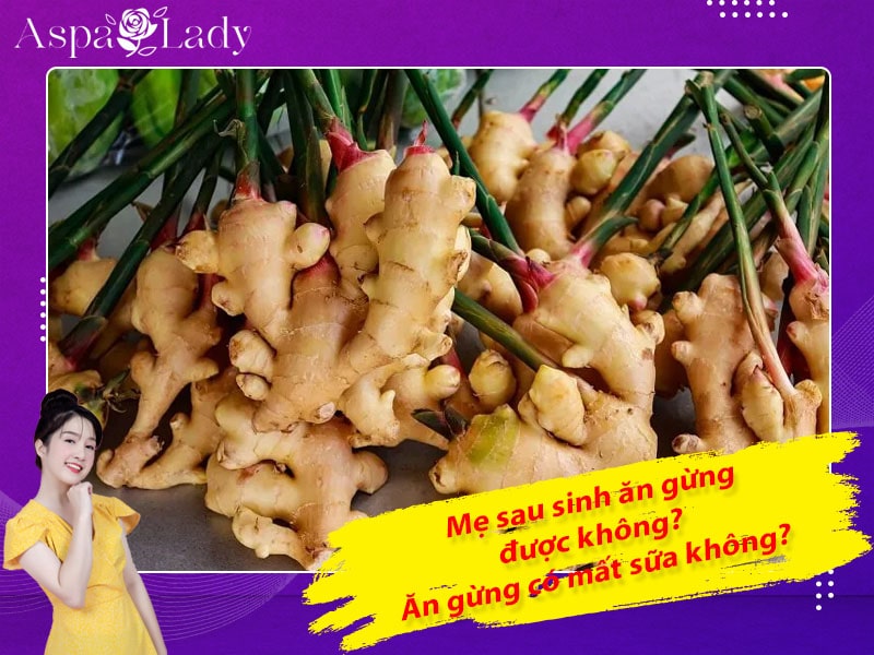 Mẹ sau sinh có ăn được gừng không? Ăn có mất sữa không?