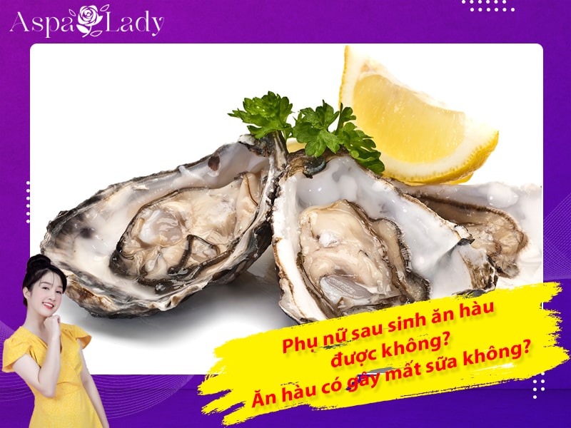 Phụ nữ sau sinh ăn hàu được không? Ăn hàu có gây mất sữa không?