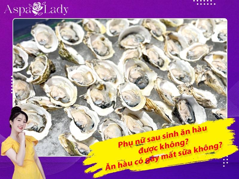 Phụ nữ sau sinh ăn hàu được không? Ăn hàu có gây mất sữa không?