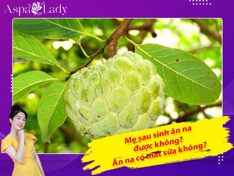 Mẹ sau sinh có ăn được na không? Ăn có mất sữa không?