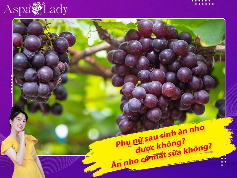 Phụ nữ sau sinh ăn nho được không? Ăn nho có mất sữa không?