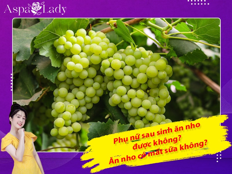 Phụ nữ sau sinh ăn nho được không? Ăn nho có mất sữa không?