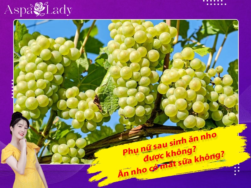 Phụ nữ sau sinh ăn nho được không? Ăn nho có mất sữa không?