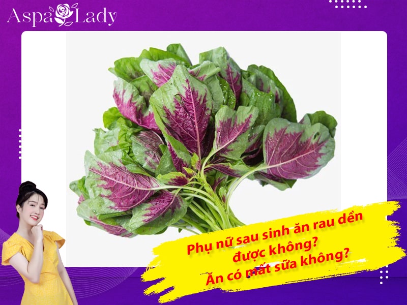 Phụ nữ sau sinh ăn rau dền được không? Ăn có mất sữa không?