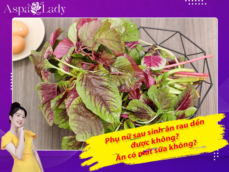 Phụ nữ sau sinh ăn rau dền được không? Ăn có mất sữa không?