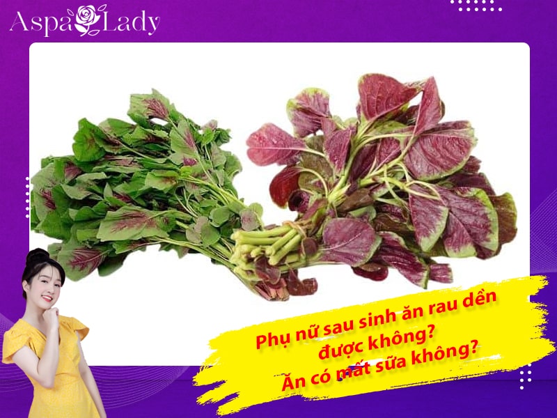 Phụ nữ sau sinh ăn rau dền được không? Ăn có mất sữa không?