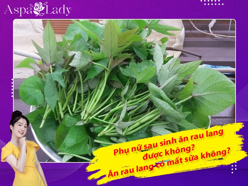 Phụ nữ sau sinh ăn rau lang được không? Ăn rau lang có mất sữa không?
