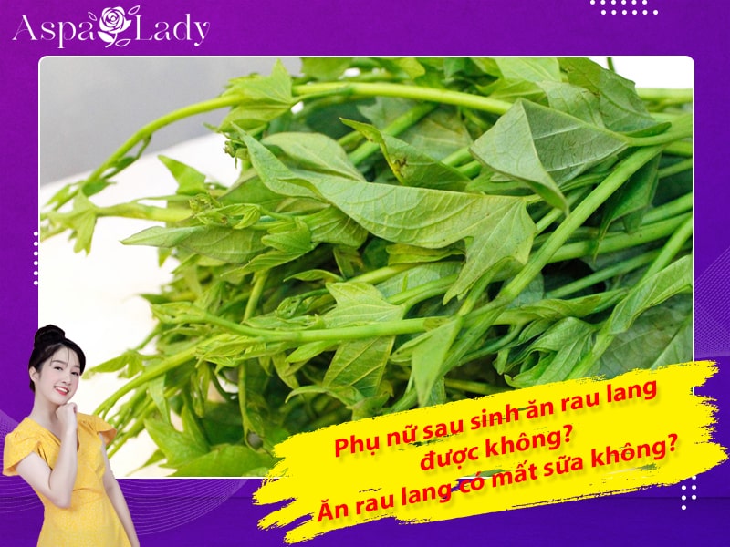 Phụ nữ sau sinh ăn rau lang được không? Ăn rau lang có mất sữa không?