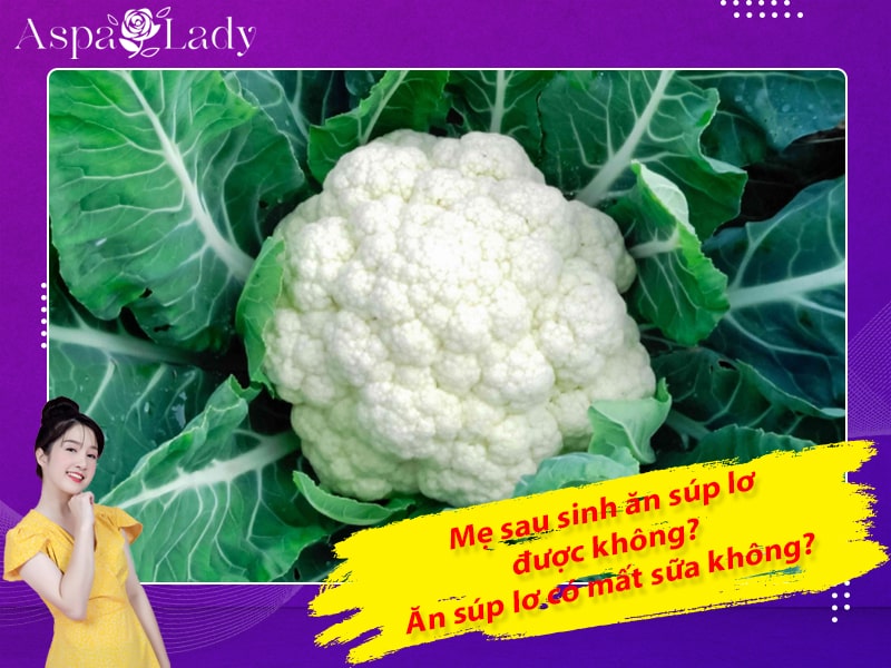 Mẹ sau sinh ăn súp lơ được không? Ăn súp lơ có mất sữa không?