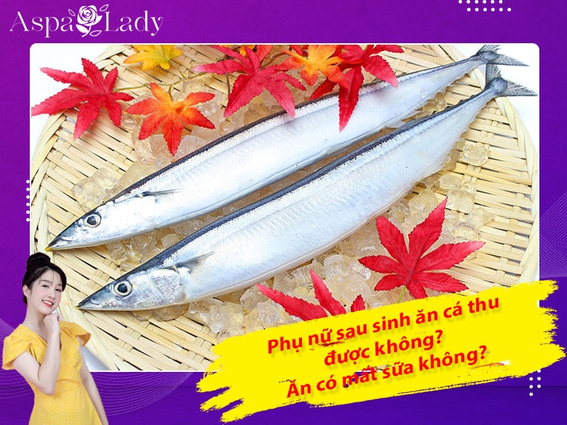 Phụ nữ sau sinh ăn cá thu được không? Ăn có mất sữa không?